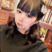 ヒメ日記 2025/03/16 09:44 投稿 ちょこ チューリップ福井本館