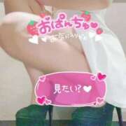 ヒメ日記 2025/03/22 09:44 投稿 ちょこ チューリップ福井本館