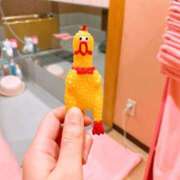 ヒメ日記 2025/03/29 09:44 投稿 ちょこ チューリップ福井本館