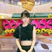 ヒメ日記 2025/04/09 13:14 投稿 ちょこ チューリップ福井本館