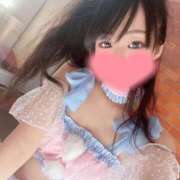 ヒメ日記 2025/04/11 09:44 投稿 ちょこ チューリップ福井本館