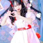 ヒメ日記 2025/04/16 06:44 投稿 ちょこ チューリップ福井本館