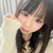 ヒメ日記 2025/04/17 06:44 投稿 ちょこ チューリップ福井本館