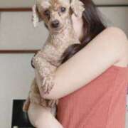 ヒメ日記 2025/04/19 12:09 投稿 ちょこ チューリップ福井本館