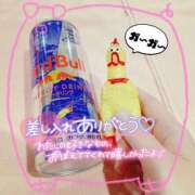 ヒメ日記 2025/04/19 14:14 投稿 ちょこ チューリップ福井本館