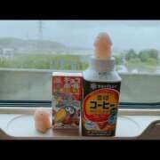 ヒメ日記 2025/04/23 11:24 投稿 ちょこ チューリップ福井本館