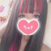 ヒメ日記 2025/04/30 19:14 投稿 ちょこ チューリップ福井本館