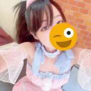 ヒメ日記 2025/07/22 09:15 投稿 ちょこ チューリップ福井本館