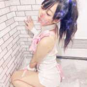 ヒメ日記 2025/07/23 09:17 投稿 ちょこ チューリップ福井本館