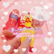 ヒメ日記 2025/07/25 23:54 投稿 ちょこ チューリップ福井本館