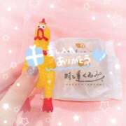 ヒメ日記 2025/07/27 13:46 投稿 ちょこ チューリップ福井本館