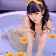 ヒメ日記 2025/08/12 06:14 投稿 ちょこ チューリップ福井本館