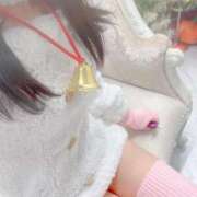 ヒメ日記 2025/11/02 15:06 投稿 ちょこ チューリップ福井本館