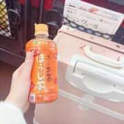 ヒメ日記 2025/11/13 13:44 投稿 ちょこ チューリップ福井本館