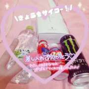 ヒメ日記 2025/11/14 15:44 投稿 ちょこ チューリップ福井本館