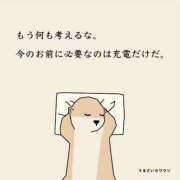 ヒメ日記 2025/11/16 15:44 投稿 ちょこ チューリップ福井本館