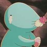 ちょこ ★1月の遠征はお休みします★ チューリップ福井本館