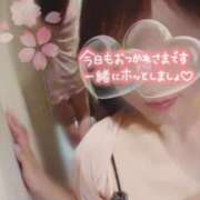 ヒメ日記 2025/04/20 16:01 投稿 高梨　真南 プルプル人妻専門店