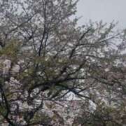 ヒメ日記 2025/05/02 22:31 投稿 高梨　真南 プルプル人妻専門店