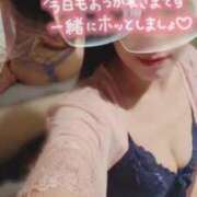 ヒメ日記 2025/06/15 16:06 投稿 高梨　真南 プルプル人妻専門店