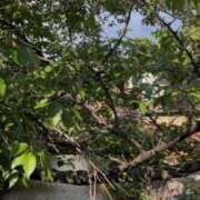 ヒメ日記 2025/12/31 18:45 投稿 高梨　真南 プルプル人妻専門店