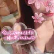 ヒメ日記 2026/02/07 16:15 投稿 高梨　真南 プルプル人妻専門店