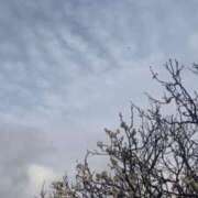 ヒメ日記 2026/03/02 23:55 投稿 高梨　真南 プルプル人妻専門店