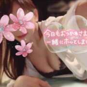 ヒメ日記 2026/04/05 16:30 投稿 高梨　真南 プルプル人妻専門店
