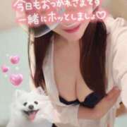 ヒメ日記 2026/06/24 16:21 投稿 高梨　真南 プルプル人妻専門店