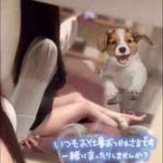 ヒメ日記 2026/09/23 21:01 投稿 高梨　真南 プルプル人妻専門店