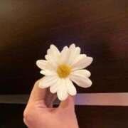 ヒメ日記 2025/10/31 11:18 投稿 ちなみ 実録！おとなのわいせつ倶楽部