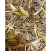 ヒメ日記 2026/03/09 17:20 投稿 みりあ 美熟女倶楽部Hip's西川口店