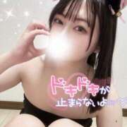 ヒメ日記 2025/04/04 15:10 投稿 みずき マリン宇都宮店