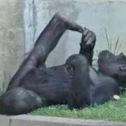 ヒメ日記 2025/05/04 17:24 投稿 みずき マリン宇都宮店