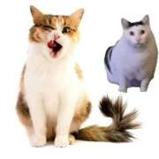 みずき 💖待ってます💖 マリン宇都宮店