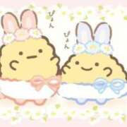 ヒメ日記 2024/12/28 20:05 投稿 こうめ 完全密室 無抵抗