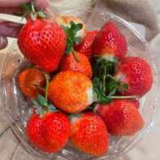 ヒメ日記 2025/02/22 20:18 投稿 こうめ 完全密室 無抵抗