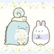 ヒメ日記 2025/02/24 18:22 投稿 こうめ 完全密室 無抵抗