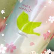 ヒメ日記 2025/03/27 11:50 投稿 藤原つばき 五十路マダム 郡山店