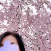 ヒメ日記 2025/04/21 12:18 投稿 藤原つばき 五十路マダム 郡山店