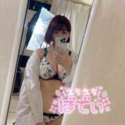 ヒメ日記 2025/05/20 19:37 投稿 みく 白いぽっちゃりさん錦糸町店