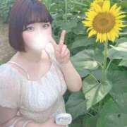 ヒメ日記 2025/09/20 15:57 投稿 みく 白いぽっちゃりさん錦糸町店