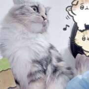 ヒメ日記 2025/02/22 17:48 投稿 りあ Cocoon(コクーン)