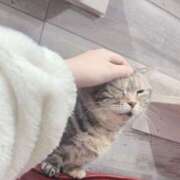 ヒメ日記 2025/04/12 16:39 投稿 りあ Cocoon(コクーン)