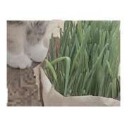 ヒメ日記 2025/04/25 16:47 投稿 りあ Cocoon(コクーン)