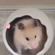 ヒメ日記 2025/05/02 17:49 投稿 りあ Cocoon(コクーン)