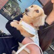 ヒメ日記 2025/03/23 18:02 投稿 亜美(アミ) グランドオペラ名古屋