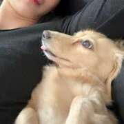 ヒメ日記 2025/05/14 16:59 投稿 亜美(アミ) グランドオペラ名古屋