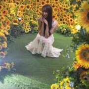 ヒメ日記 2025/08/21 12:19 投稿 亜美(アミ) グランドオペラ名古屋