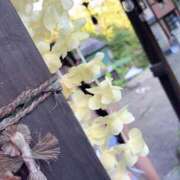 ヒメ日記 2025/08/26 17:20 投稿 亜美(アミ) グランドオペラ名古屋